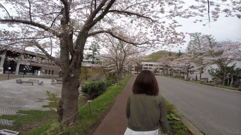 商大桜でんちゃん